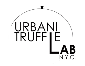 Truffle lab logo